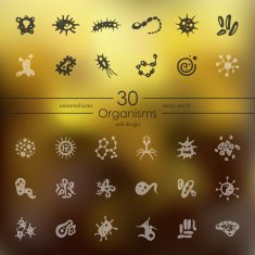 Set of organisms icons N4