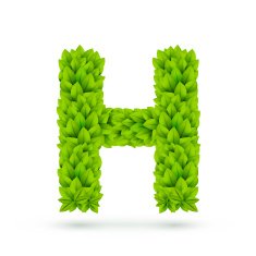 3d green leaves alphabet H