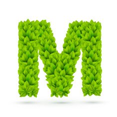3d green leaves alphabet M