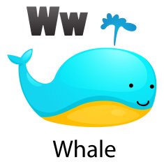 Alphabet W with whale