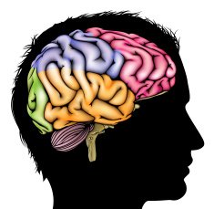 Brain silhouette concept