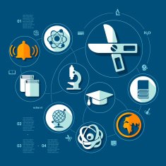 Education flat infographic N93