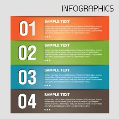 Infographics options template N20