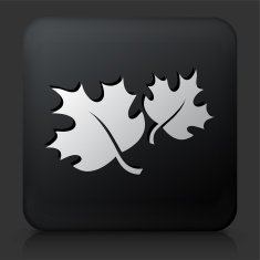 Black Square Button with Fall Leaves
