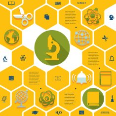 Education flat infographic N98
