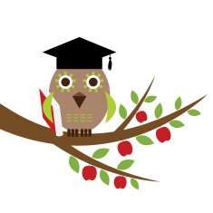 Wise owl in a graduation hat