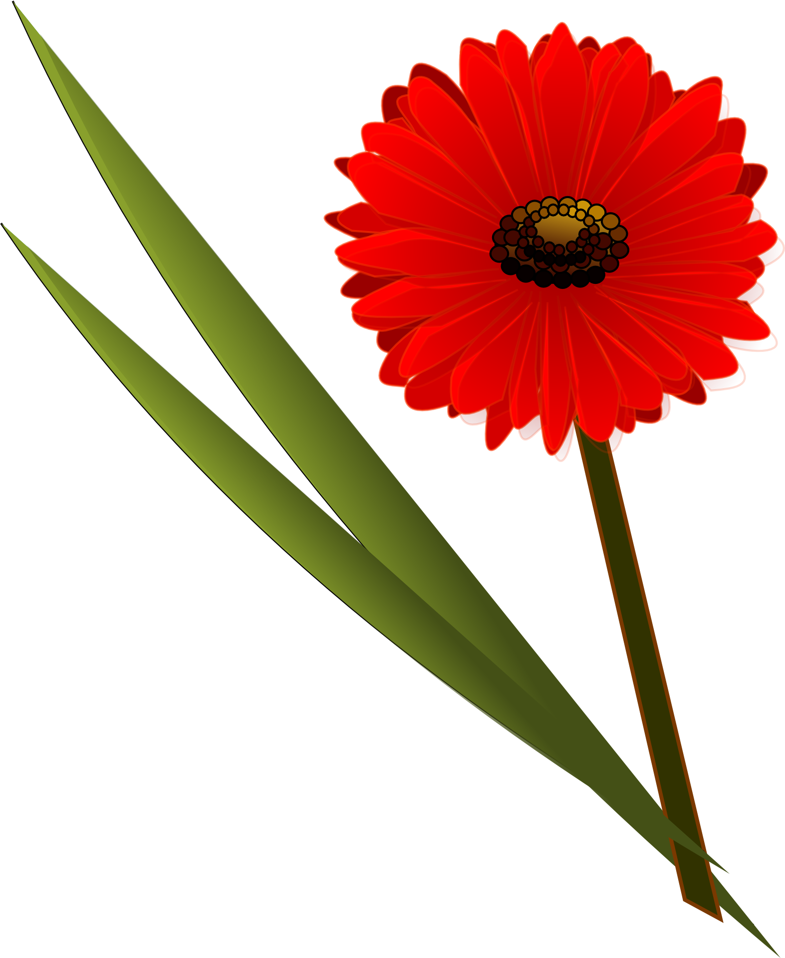 Flower Red Daisy Darwing Free Image Download