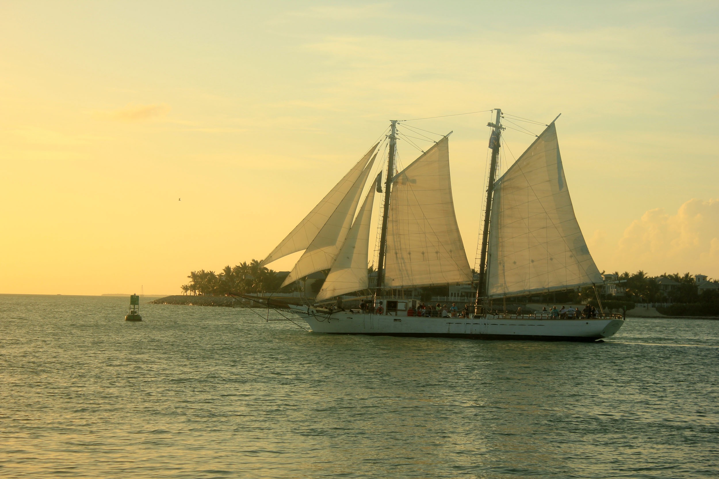 Sailboat on the water during sunset free image download