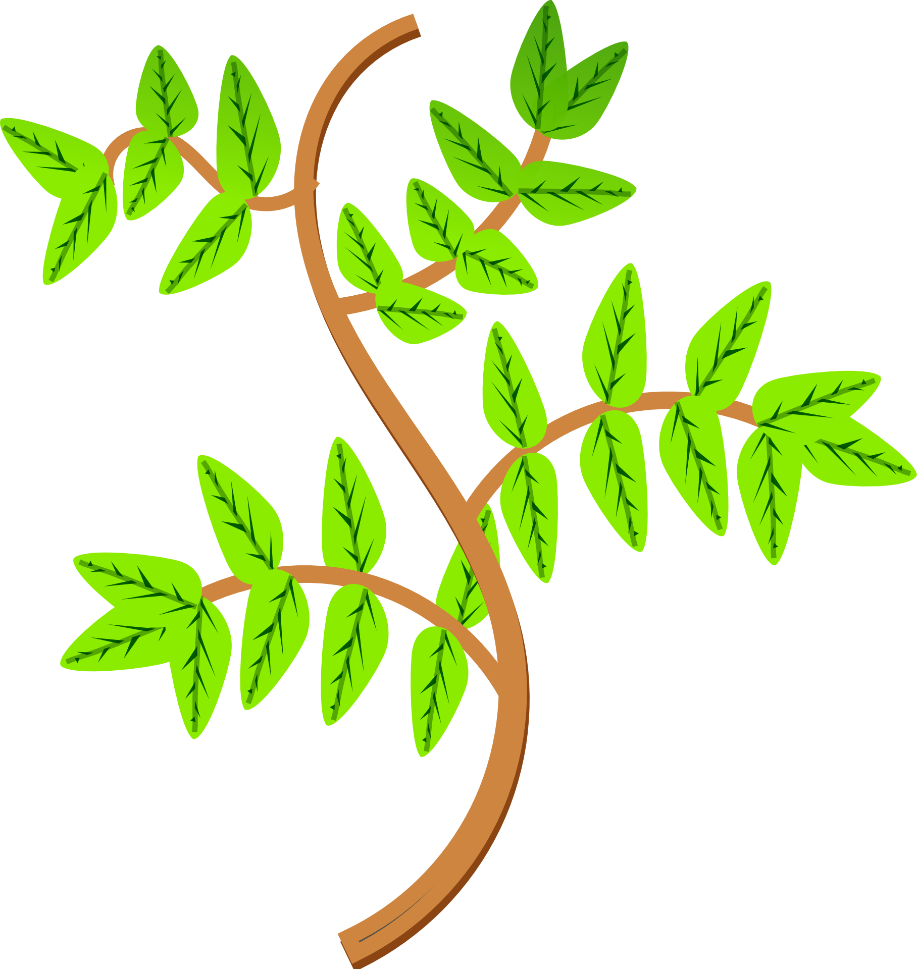 Ветка branch