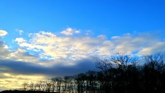 Clouds on the field and forest