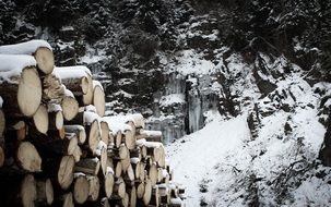 stack of tree trunks In the snow
