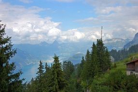 A view through the treetops of the scenic landscape near the lake in Switzerland