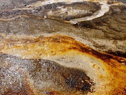 Volcanic landscape in Yellowstone National Park, usa, wyoming