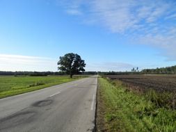 asphalt road in the countryside in Latvia