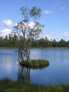 small green island among the lake