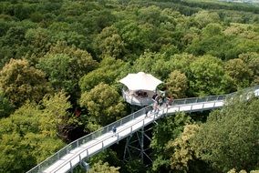 white bridge in the green forest
