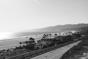 calm beach boardwalk black and white photo