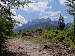 empty path in the alpine mountains