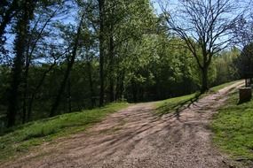 light and shadow from trees on the path