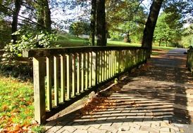 bridge in the autumn park