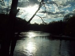 beautiful evening river landscape