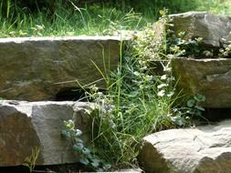 stone landscape in the grass in the sun