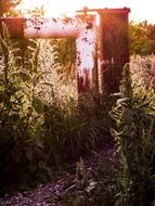 metal rusty barrier in the thicket