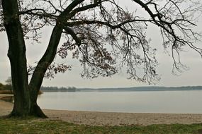 harmonic autumn landscape