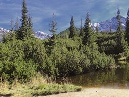 the national park in polish tatras