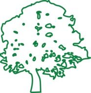 tree vector