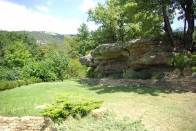 summer landscape of green garden
