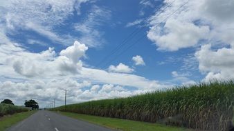 rural road in australia