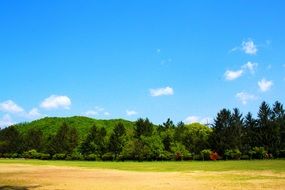 panorama view of the arboretum in the mountains