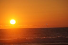 sunset ocean wave sand beach