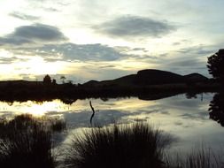 cloud above lake tranquil landscape