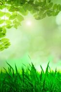 painted spring landscape of green leaves and lush grass