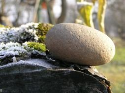 Stone on the wood