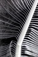 pen structure close-up