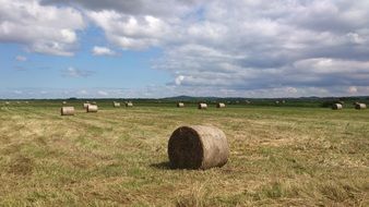 haystacks in a meadow in the countryside