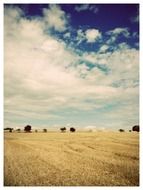 straw on the field in Germany