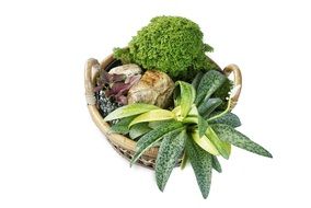 basket with decorative flowers and stones