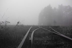 railroad tracks amid wetlands in fog