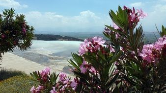 scenic landscape in Turkey on a sunny day