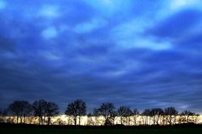 Blue clouds over the trees