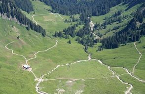 Beautiful landscape of Alpine with green plants in Austria