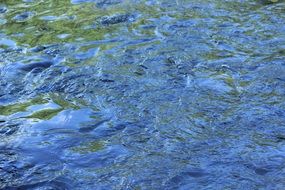 Mirror reflection of blue sky in water