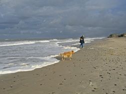 owner with a dog on the North Sea