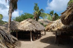 thatched roof pavilions on the beach in the Caribbean