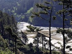 Shoreline in Oregon