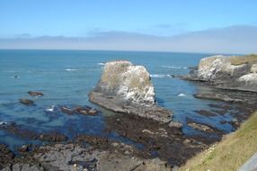 scenic Pacific Coast in Oregon